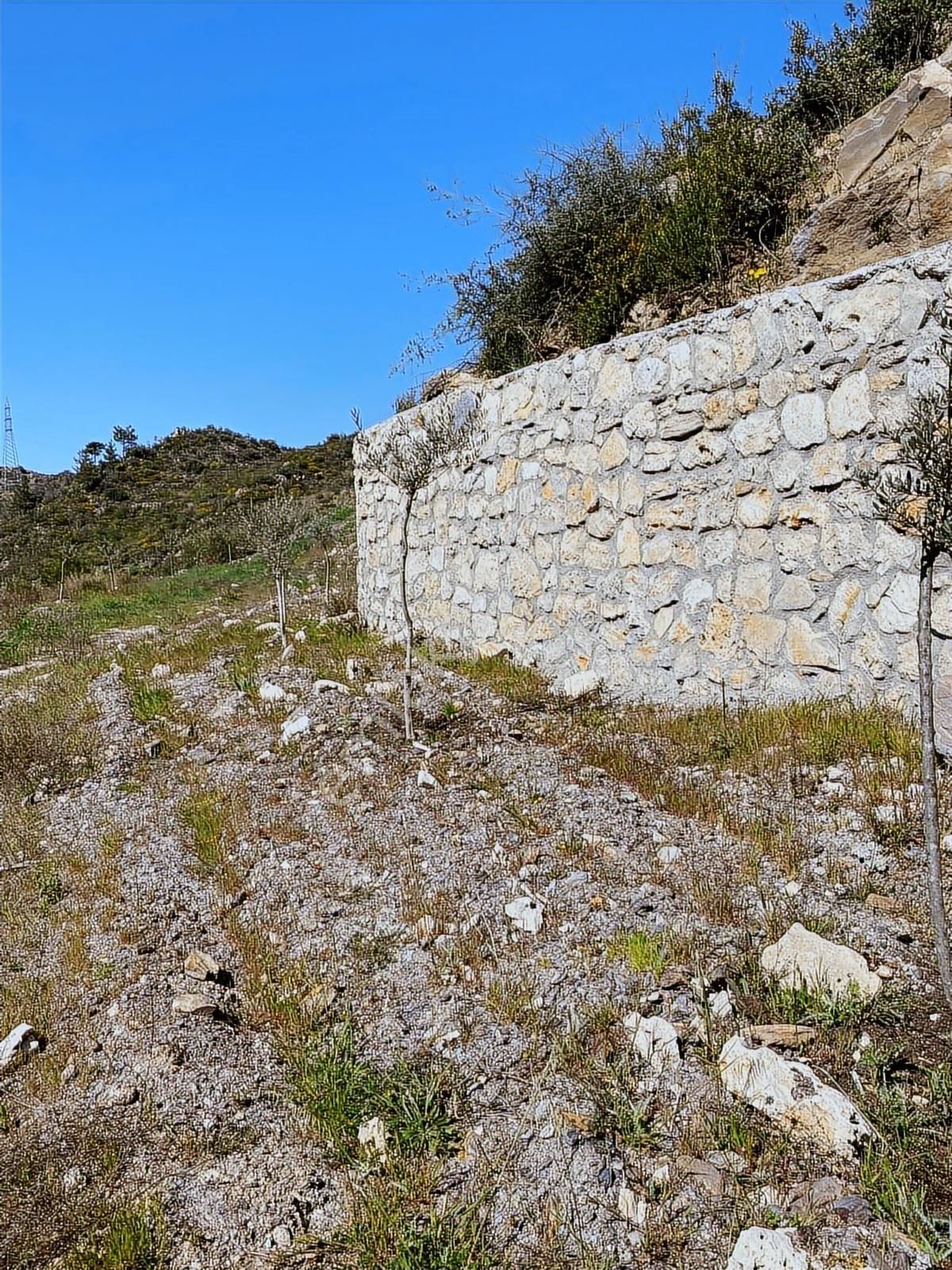 Milas Satılık 6 Dönüm Tarla Ve Zeytinlik - Görsel 12