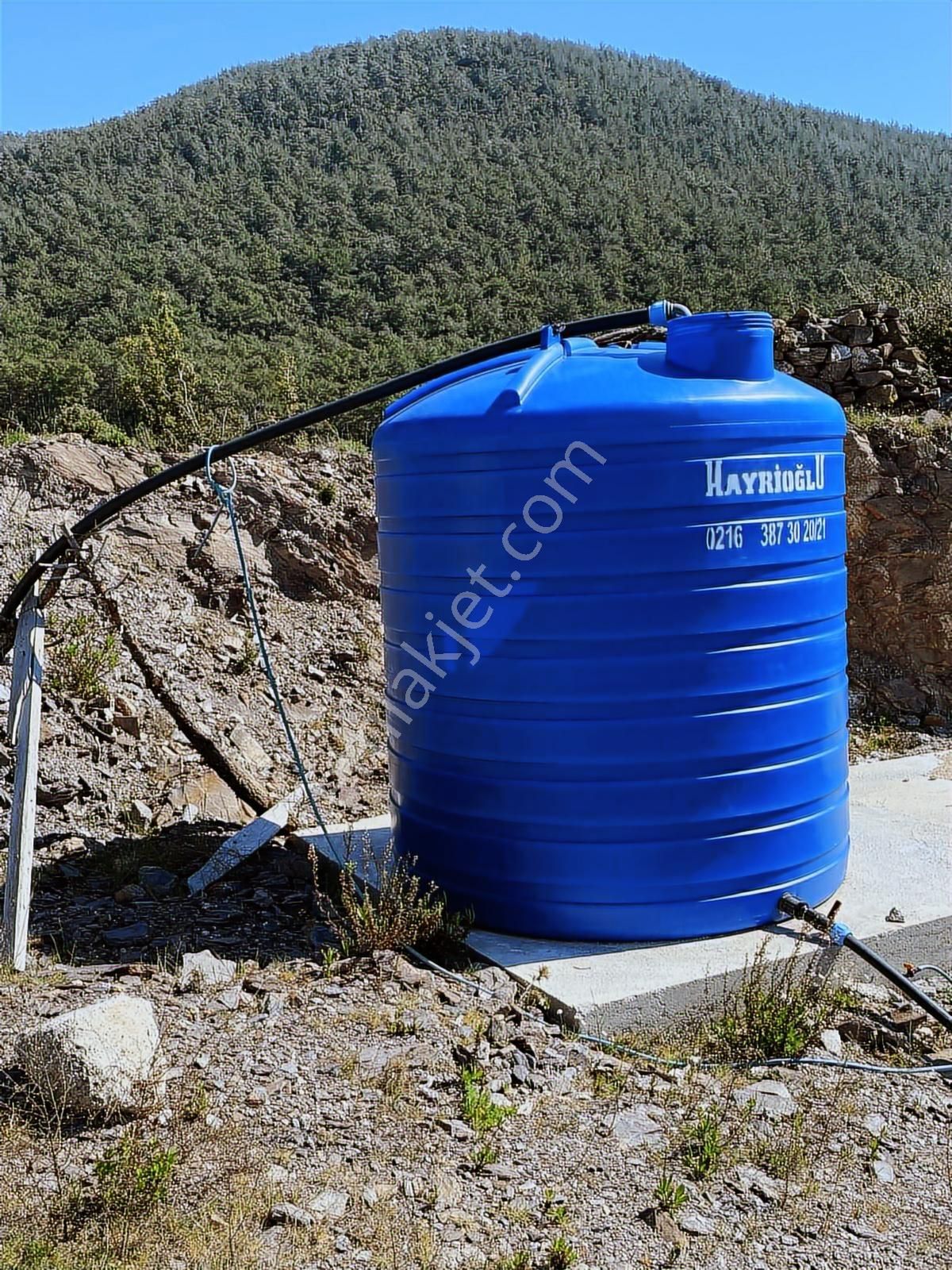 Milas Satılık 6 Dönüm Tarla Ve Zeytinlik - Görsel 4