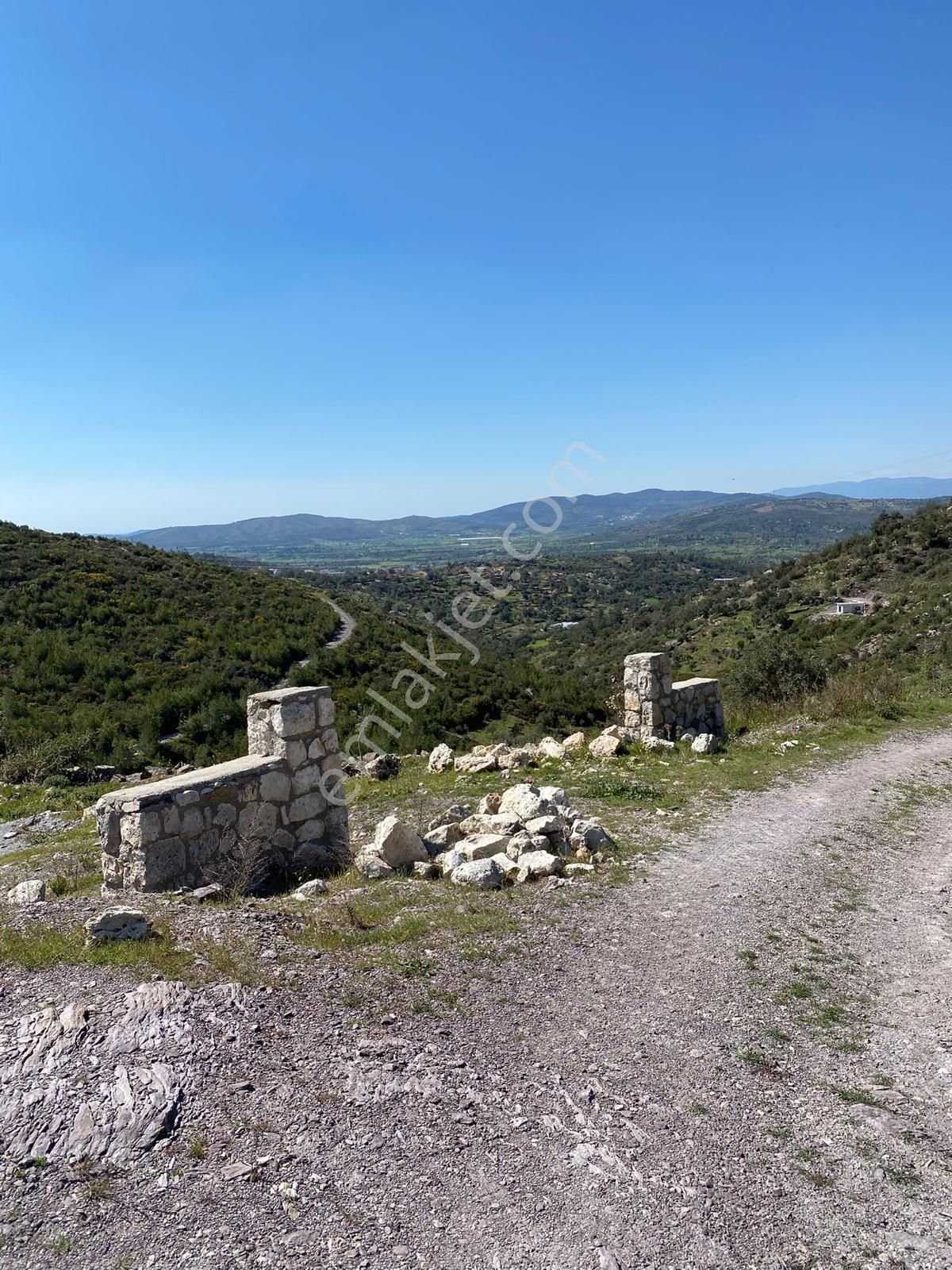 Milas Satılık 6 Dönüm Tarla Ve Zeytinlik - Görsel 20