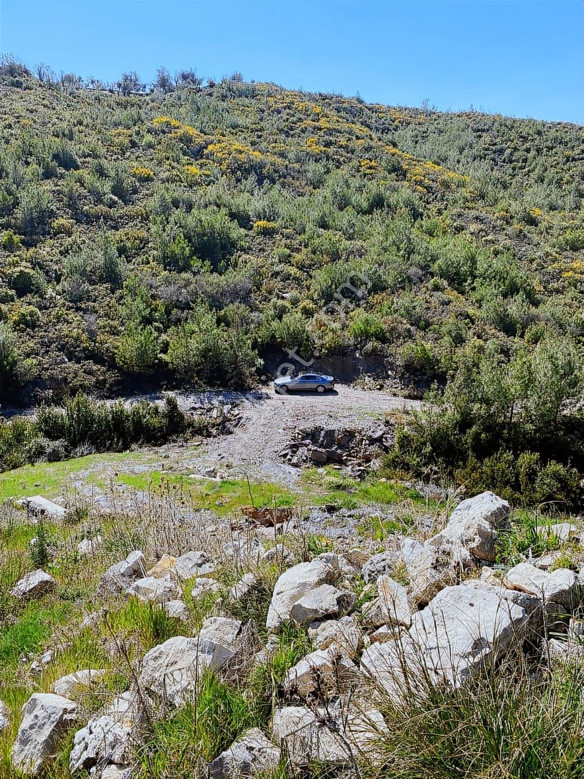 Milas Satılık 6 Dönüm Tarla Ve Zeytinlik - Görsel 6