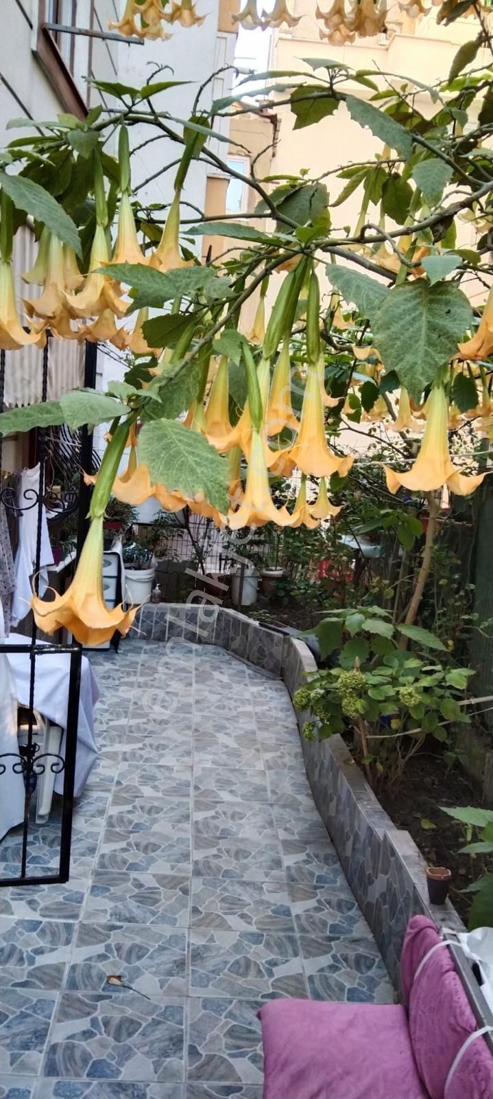 Kiraz Bahçesi Karşısında Metroya 5 Dk Mesafede Geniş 2+1 Daire - Görsel 12