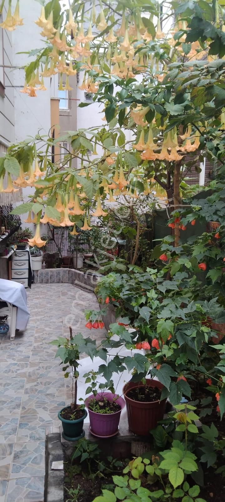 Kiraz Bahçesi Karşısında Metroya 5 Dk Mesafede Geniş 2+1 Daire - Görsel 14