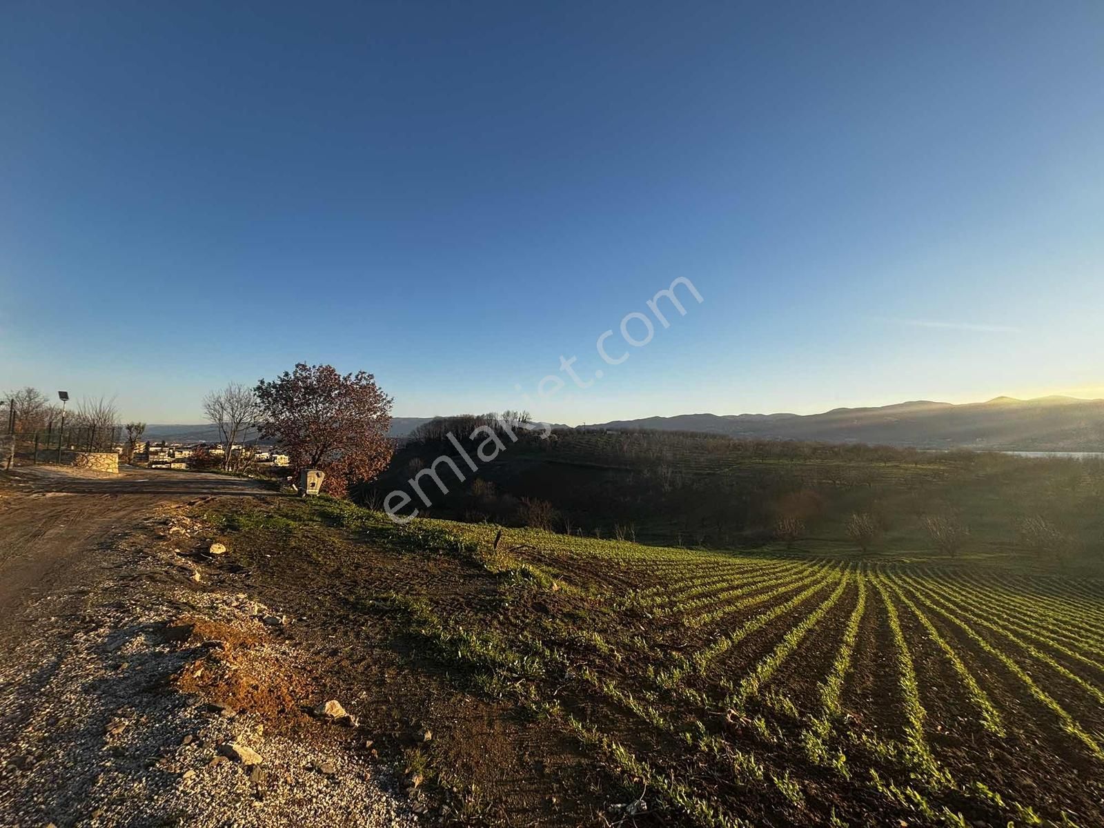 Tapu54 | Aşağıdereköy Mah. Panoramik Göl Manzaralı 4 Dönüm Arsa - Görsel 9