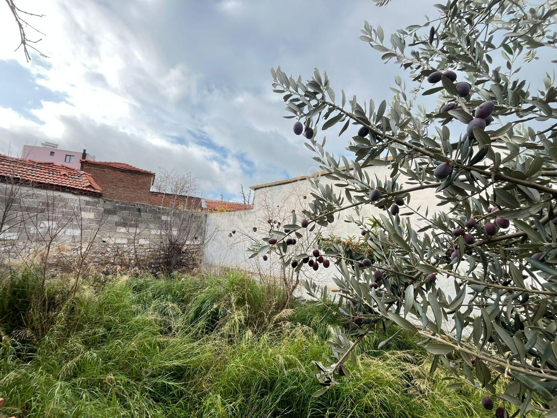 Bergama Zeytindağ Satılık Müstakil Taş Ev Ve Arsası - Görsel 8