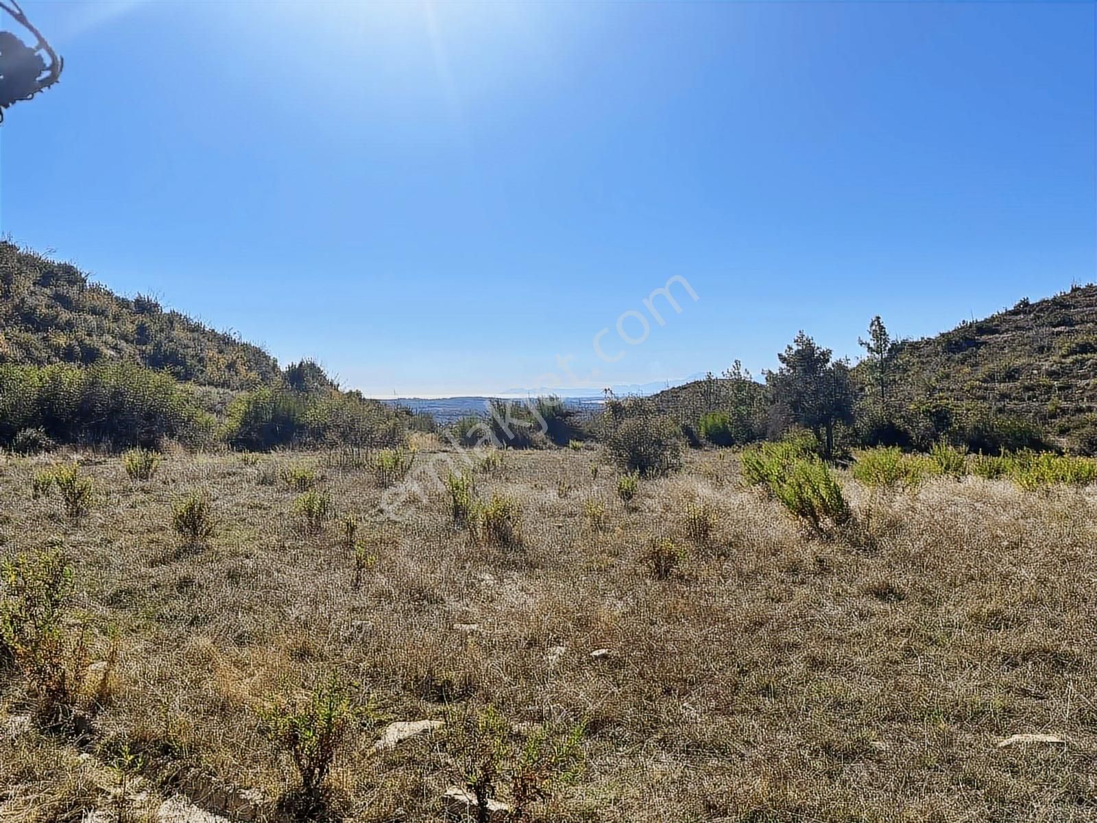 Antalya Manavgat Taşağıl Çardak Mahallesi Satılık Tek Tapu Tarla - Görsel 14