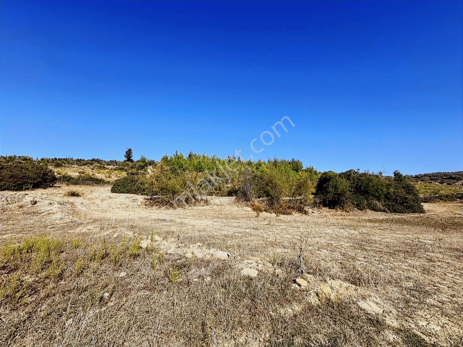 Antalya Manavgat Taşağıl Çardak Mahallesi Satılık Tek Tapu Tarla - Görsel 21
