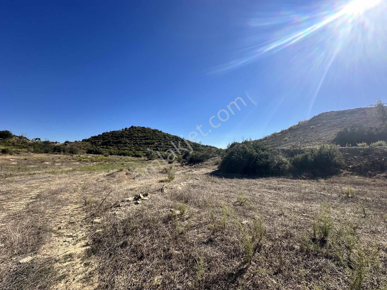 Antalya Manavgat Taşağıl Çardak Mahallesi Satılık Tek Tapu Tarla - Görsel 8