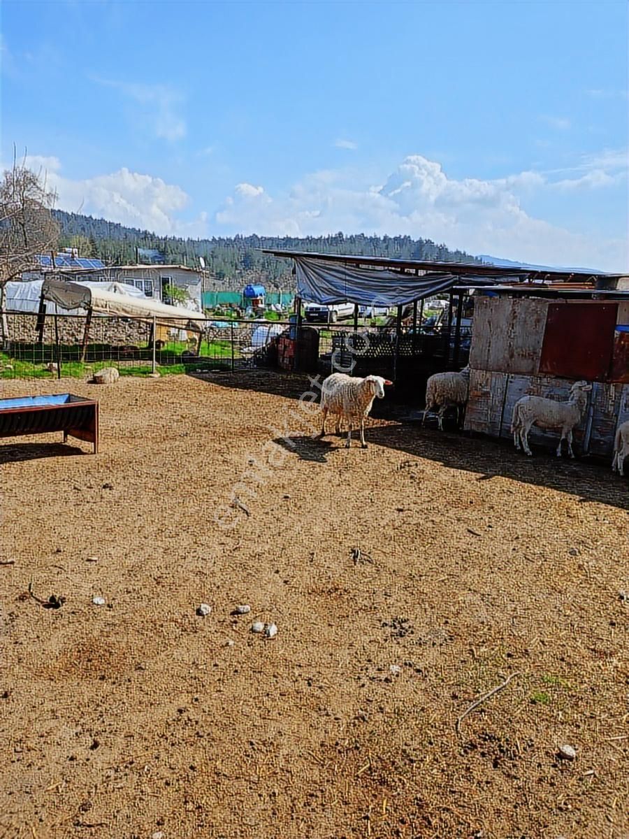 Orhaneli, Çöreler Mahallesinde Satılık Arazi. - Görsel 3