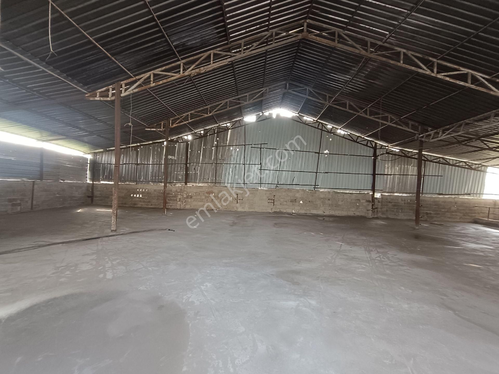 750 M2 Artı Müstakil Düblex Kiralık Komple - Görsel 7