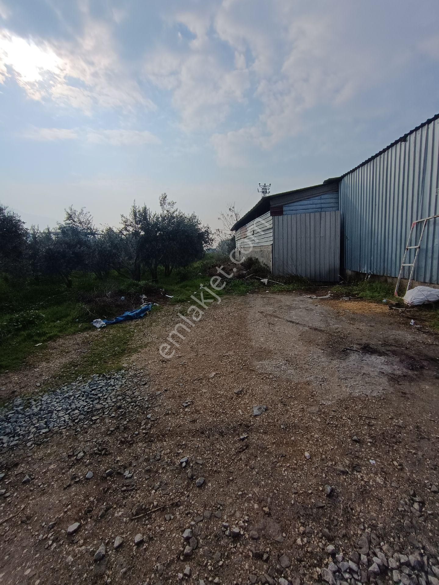 750 M2 Artı Müstakil Düblex Kiralık Komple - Görsel 31