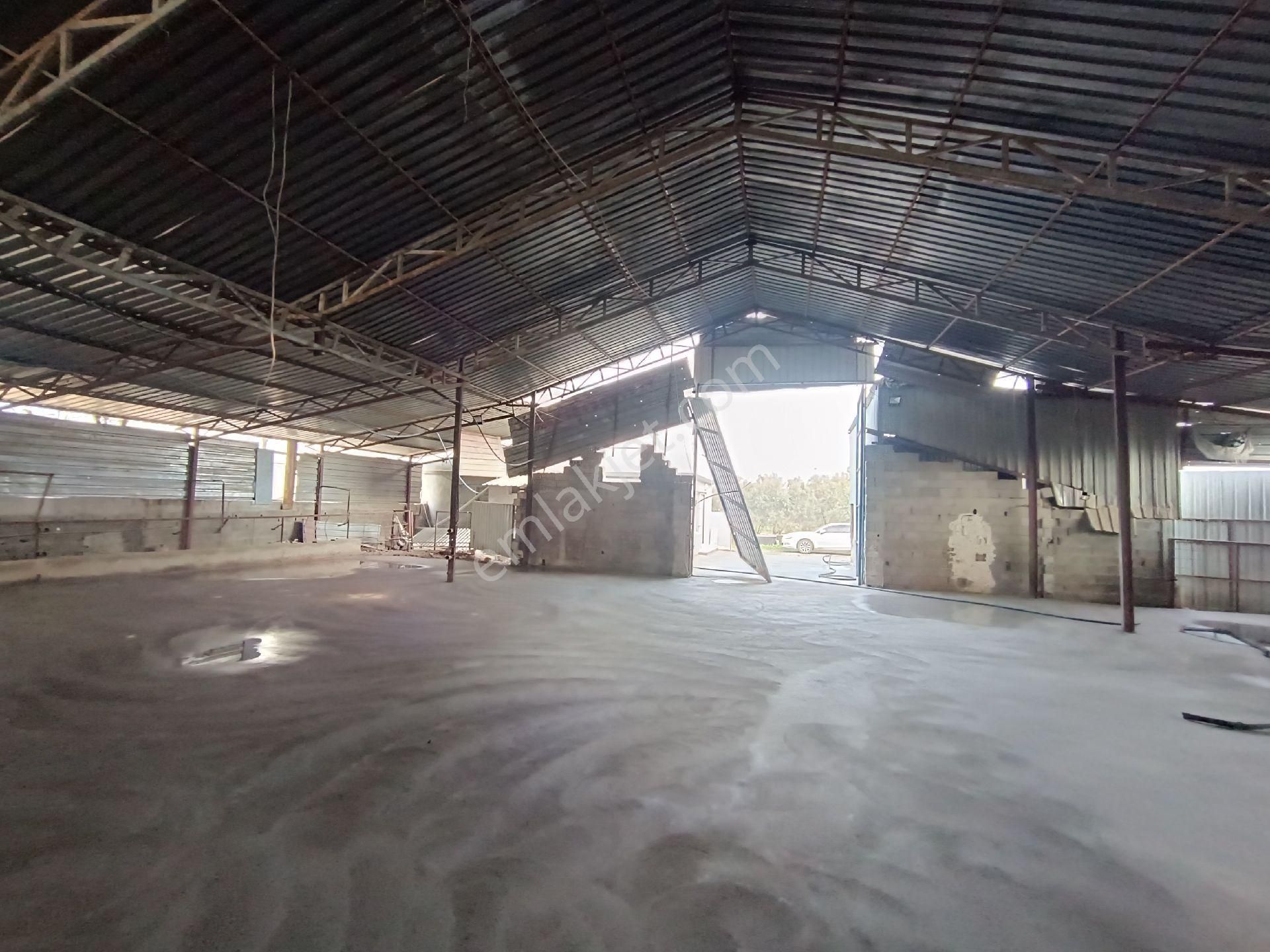 750 M2 Artı Müstakil Düblex Kiralık Komple - Görsel 22