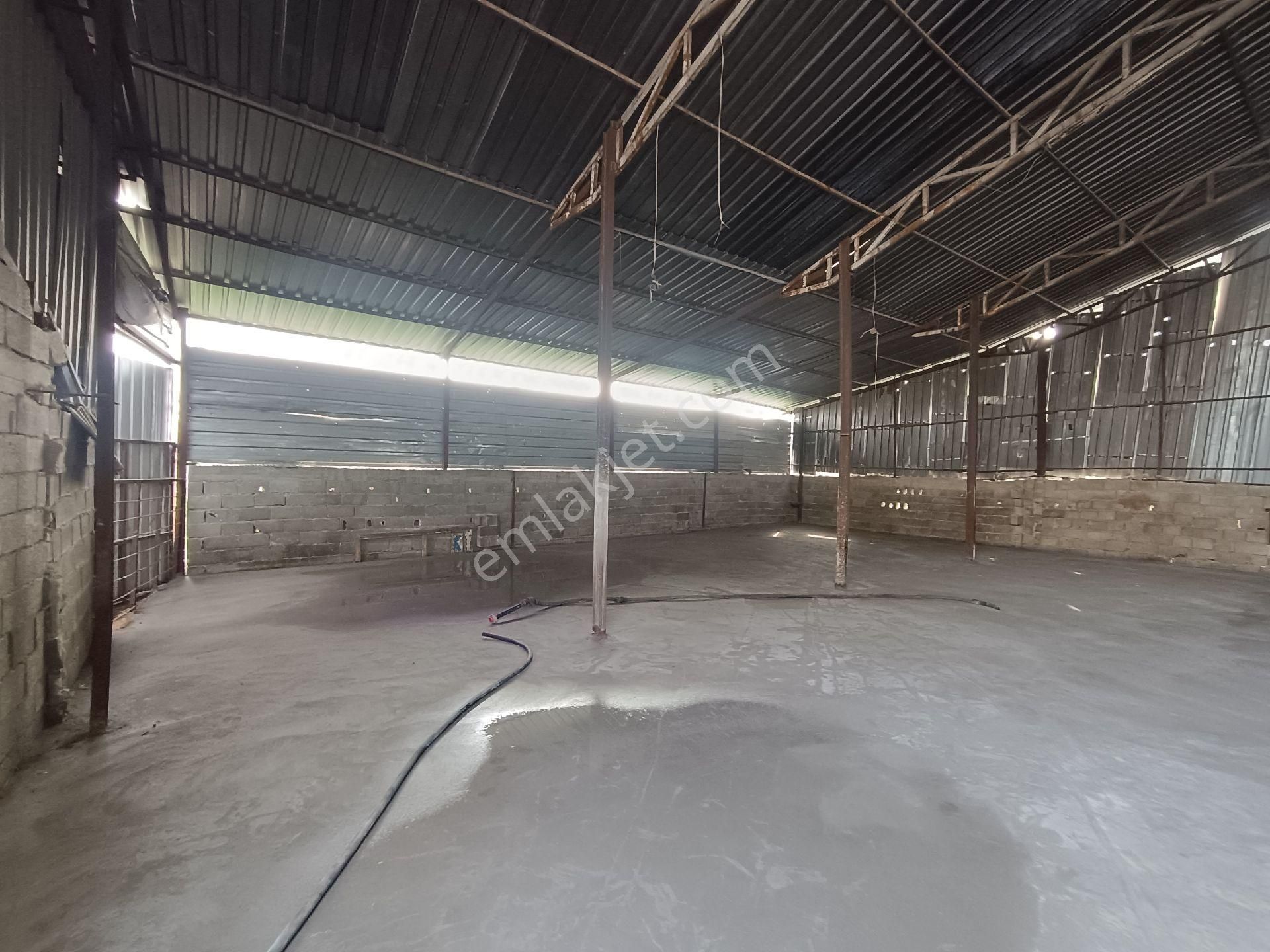 750 M2 Artı Müstakil Düblex Kiralık Komple - Görsel 6