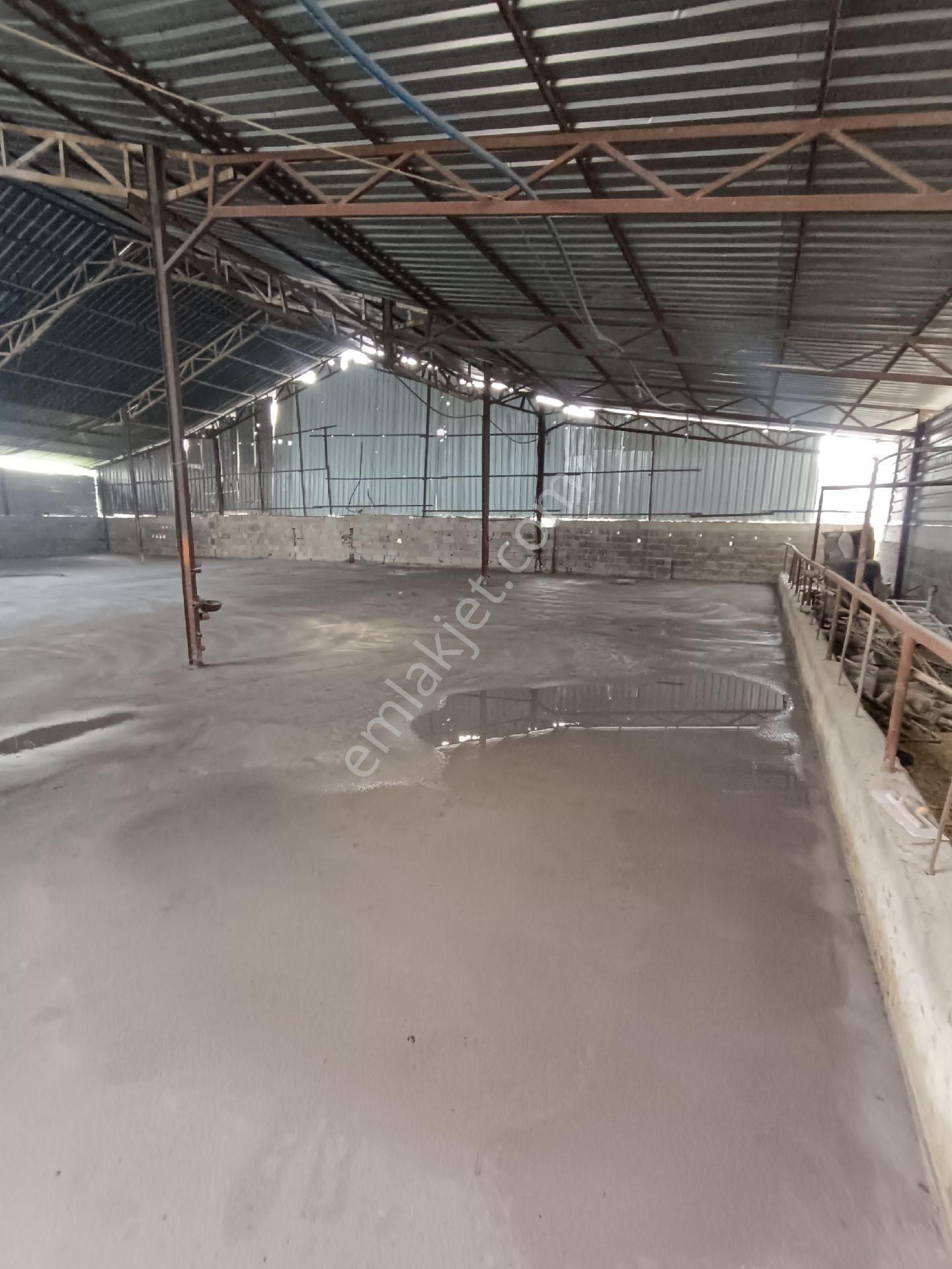 750 M2 Artı Müstakil Düblex Kiralık Komple - Görsel 19