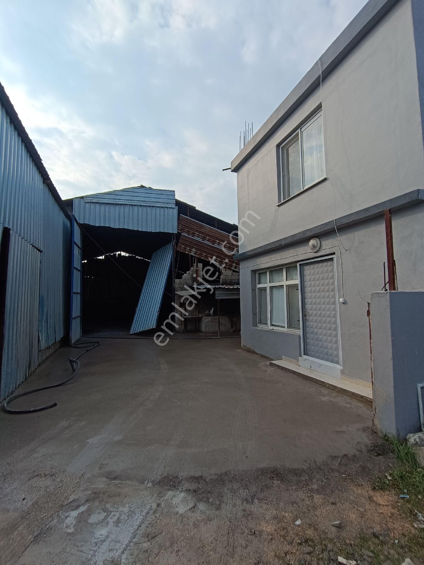 750 M2 Artı Müstakil Düblex Kiralık Komple - Görsel 3