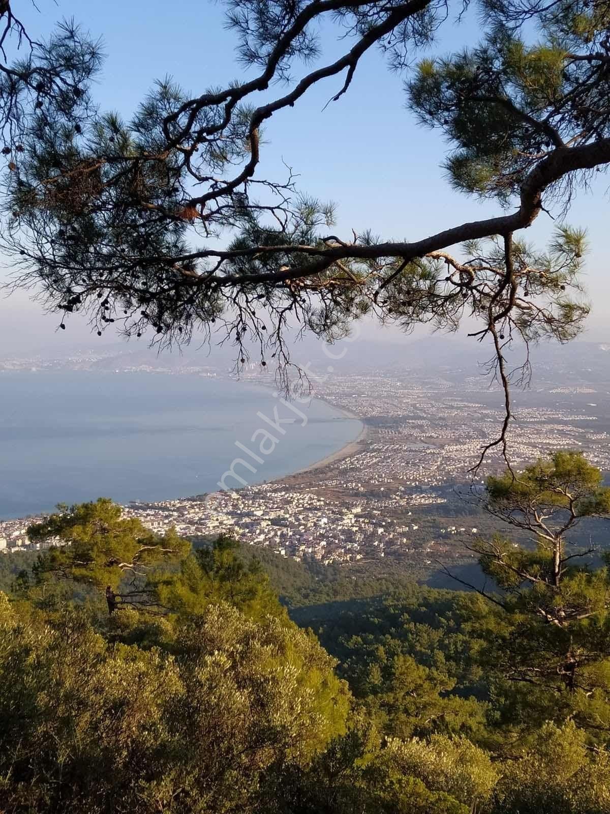 Pascha Emlak'tan Güzelçamlı'da Denize 500m Satılık 2+1 Daire - Görsel 2