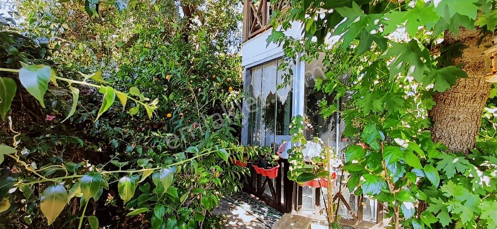 Fiyat Düştü!!!bodrum Dirmil Satılık Bahçe Katı Daire - Görsel 17