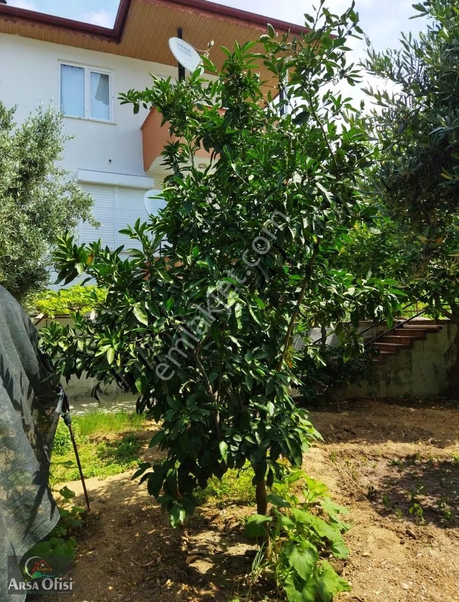 Alanya Mahmutlarda Satılık Deniz Manzaralı Müstakil Bahçeli Ev - Görsel 19