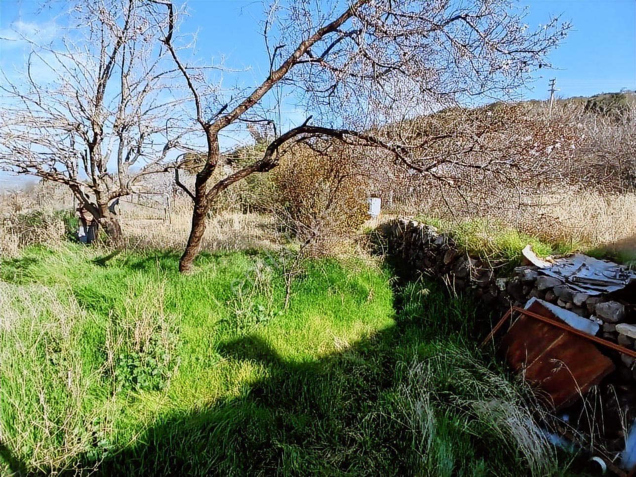 Eu Gayrimenkul'den 900 Metrekare 30/60 İmarlı Arsa - Görsel 16