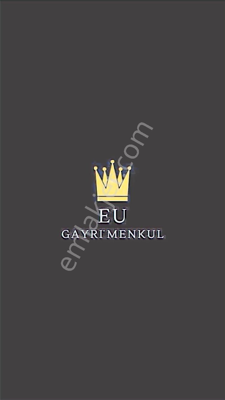 Villalara Ve Denize Yakın 19 Dönüm Zeytinlik - Görsel 4