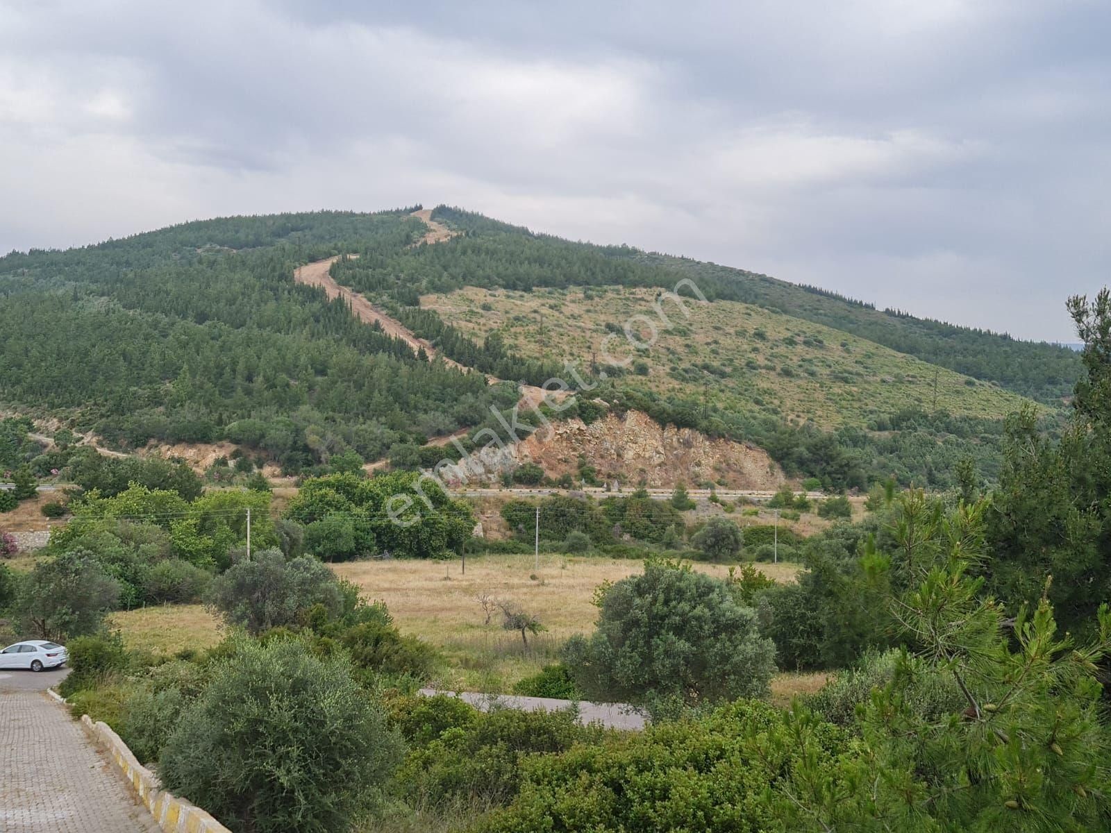 Seferihisar Doğanbey Mevkii Atatürk Mahallesi Denize 700 Metre Mesafede Arsa - Görsel 21