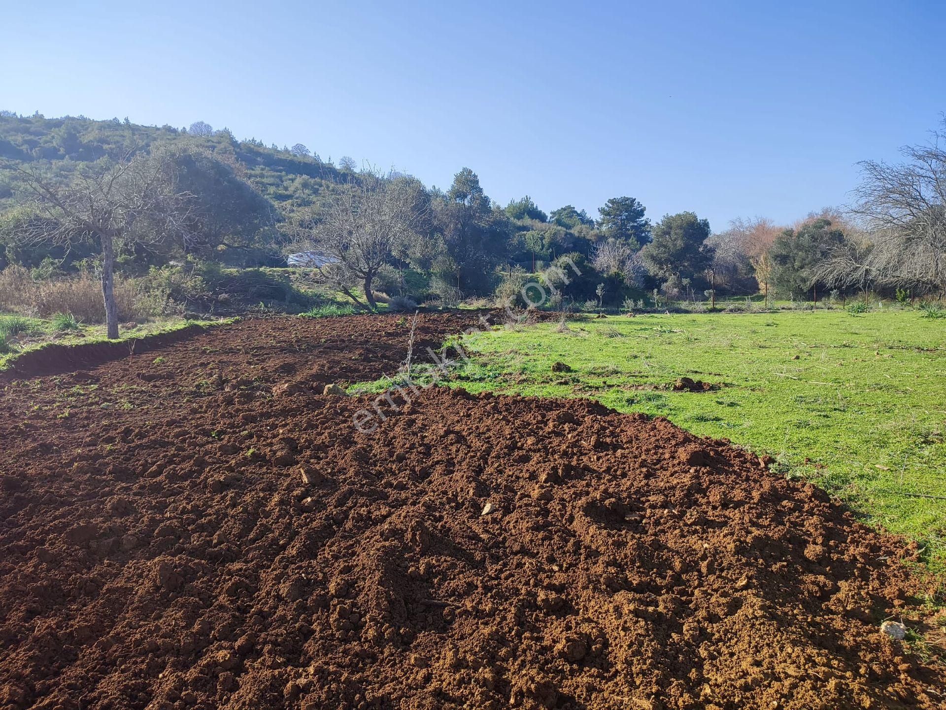 Seferihisar Doğanbey Mevkii Atatürk Mahallesi Denize 700 Metre Mesafede Arsa - Görsel 10
