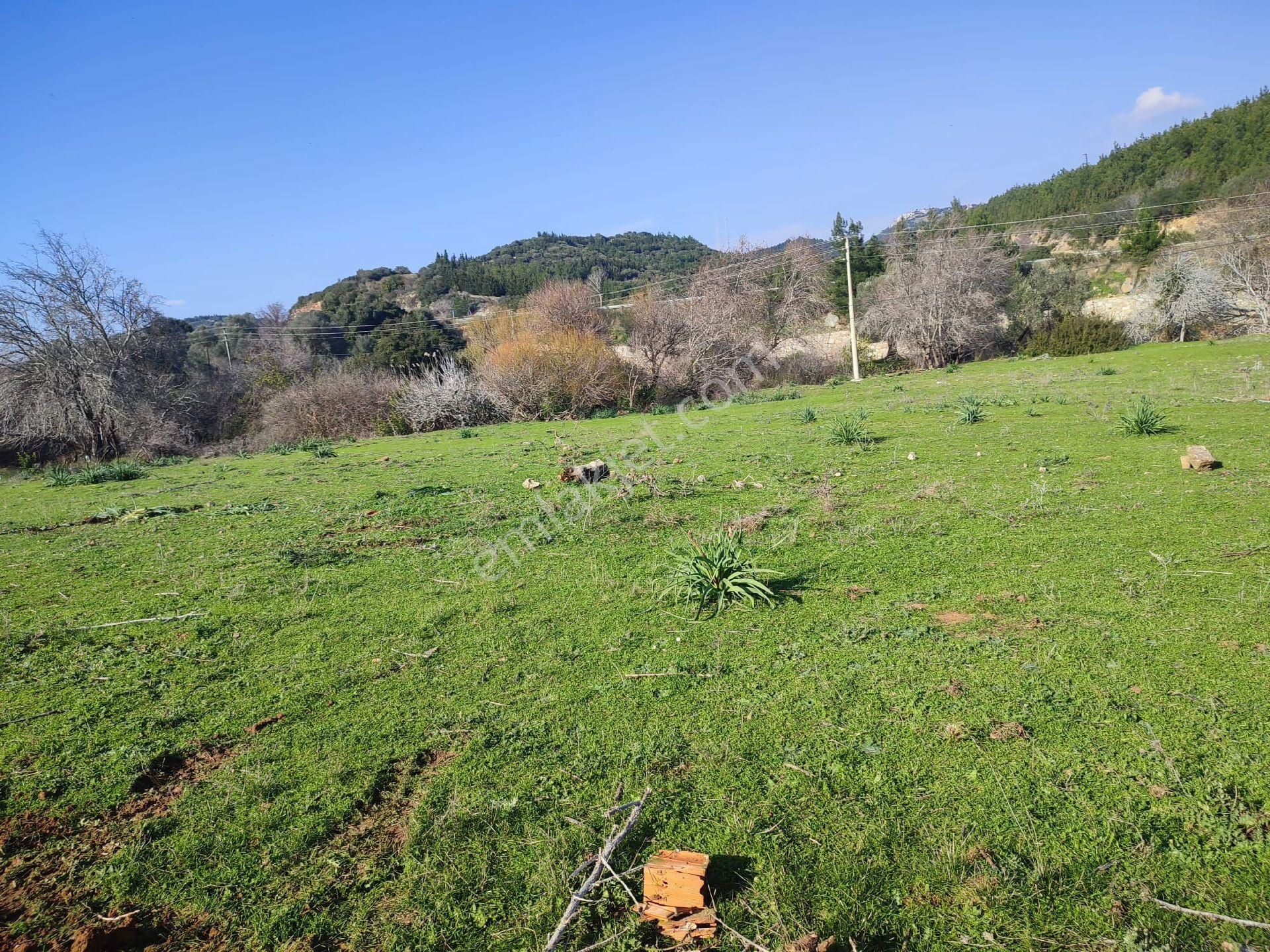 Seferihisar Doğanbey Mevkii Atatürk Mahallesi Denize 700 Metre Mesafede Arsa - Görsel 9