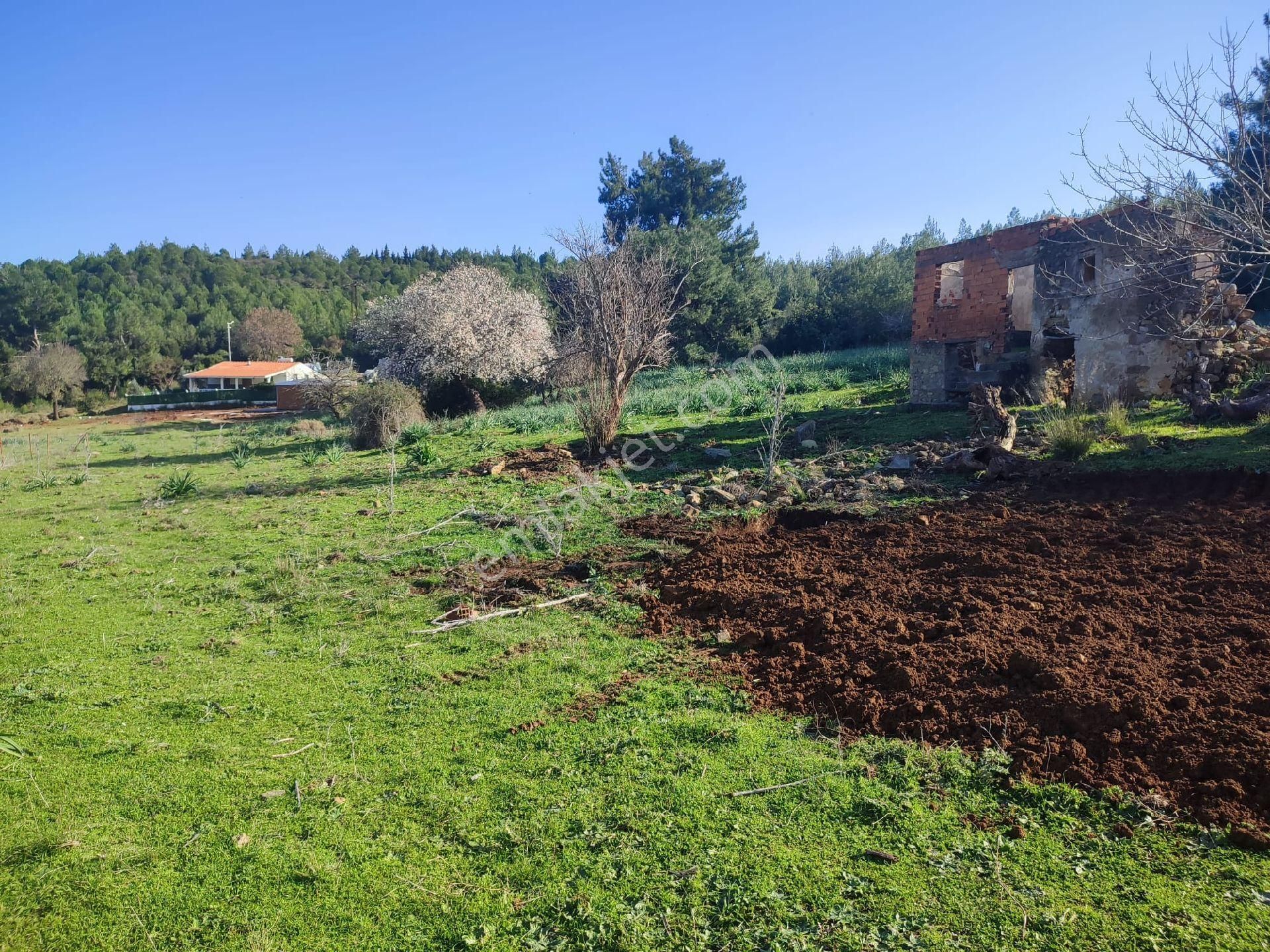 Seferihisar Doğanbey Mevkii Atatürk Mahallesi Denize 700 Metre Mesafede Arsa - Görsel 11