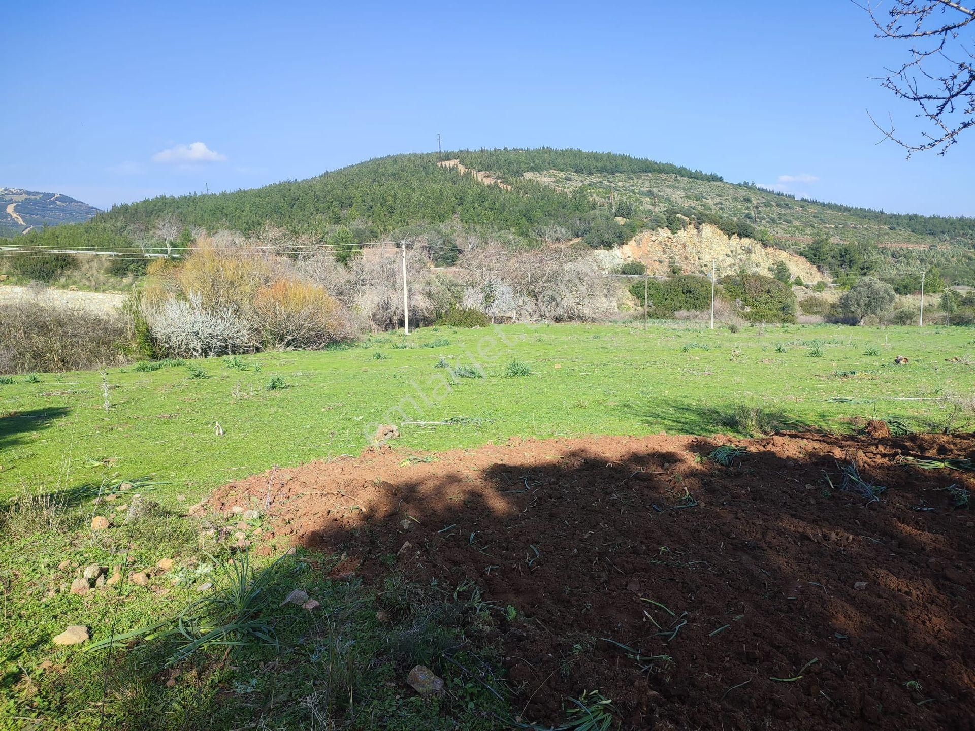 Seferihisar Doğanbey Mevkii Atatürk Mahallesi Denize 700 Metre Mesafede Arsa - Görsel 14