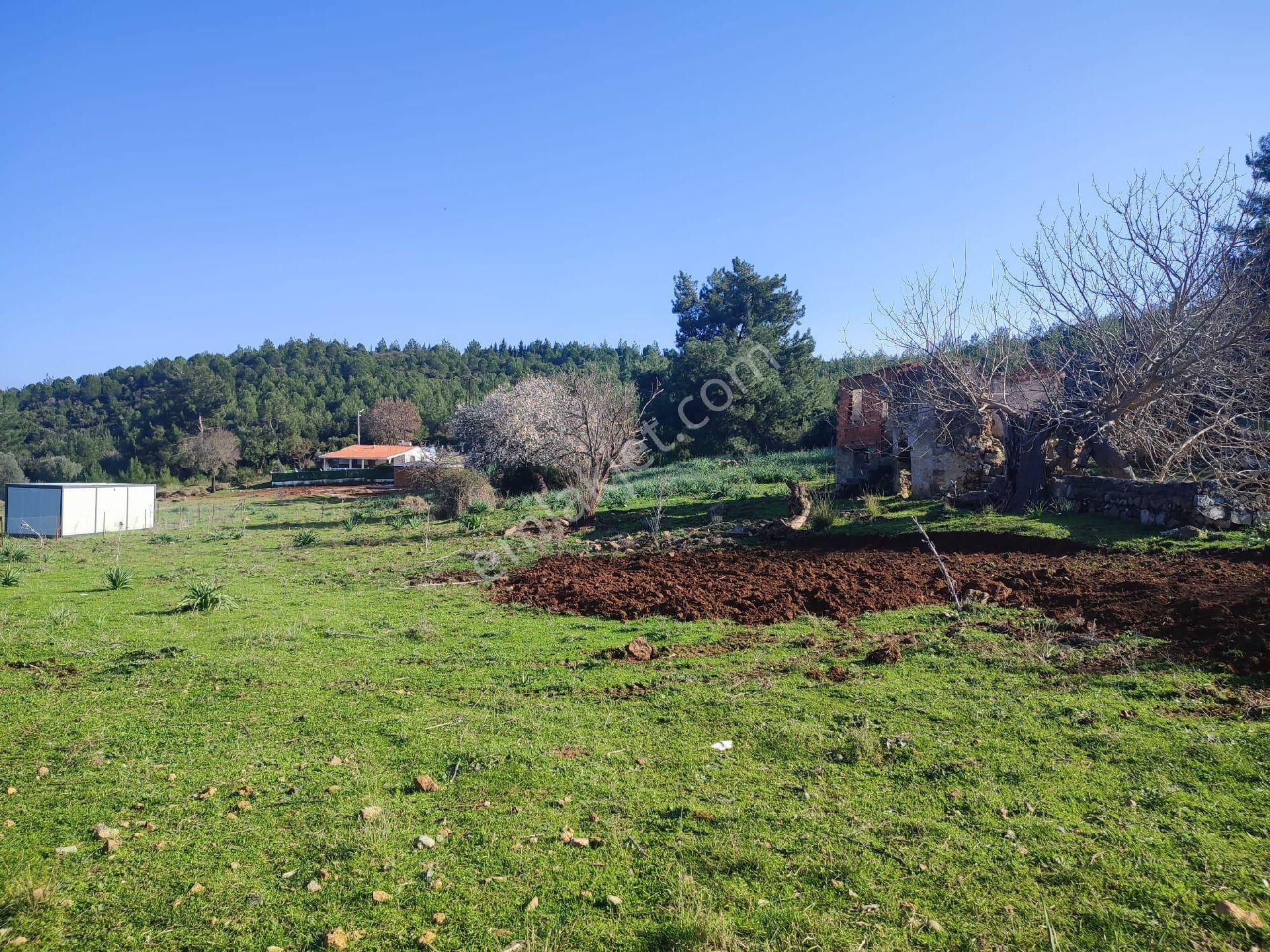 Seferihisar Doğanbey Mevkii Atatürk Mahallesi Denize 700 Metre Mesafede Arsa - Görsel 12