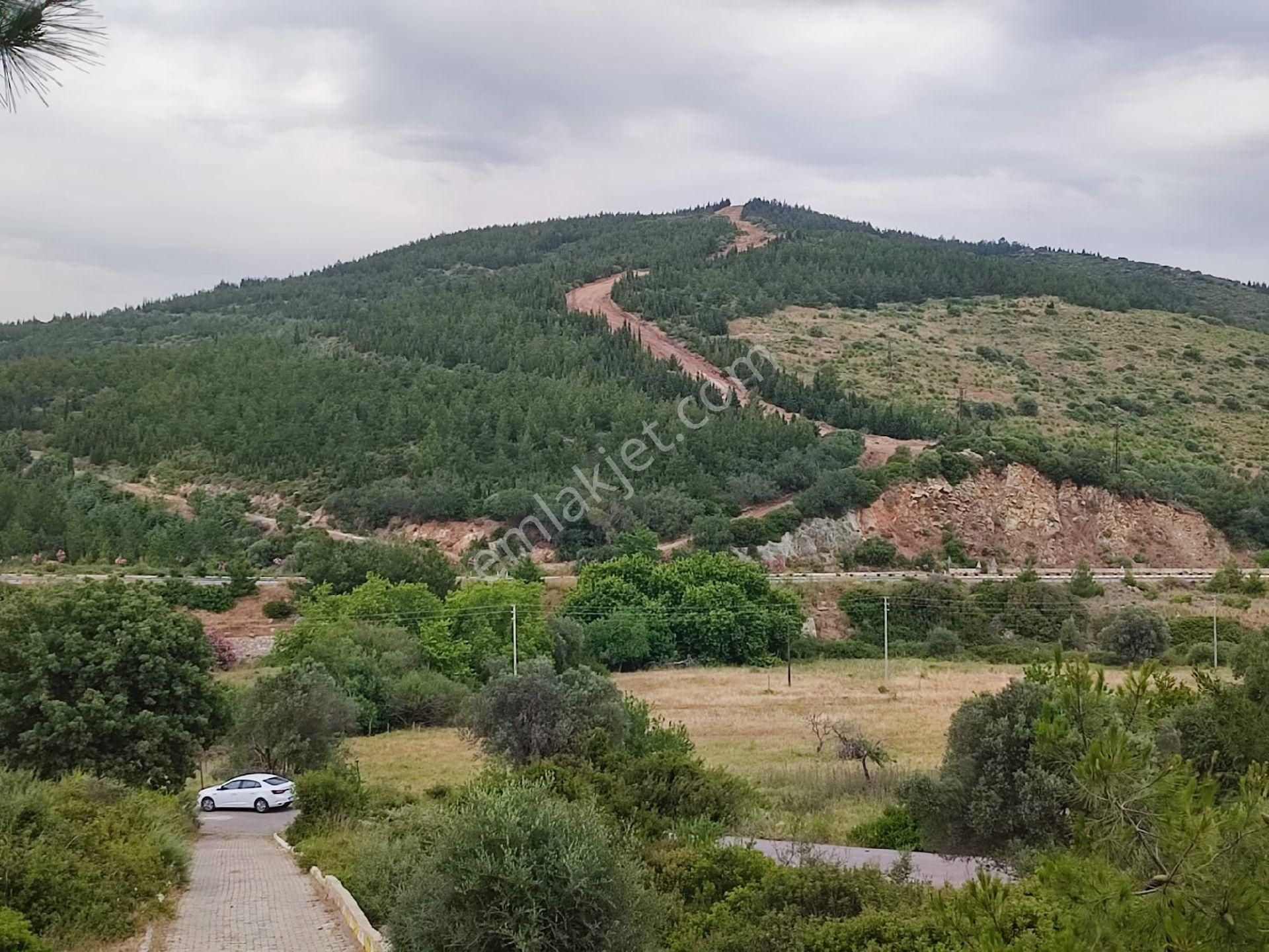 Seferihisar Doğanbey Mevkii Atatürk Mahallesi Denize 700 Metre Mesafede Arsa - Görsel 16