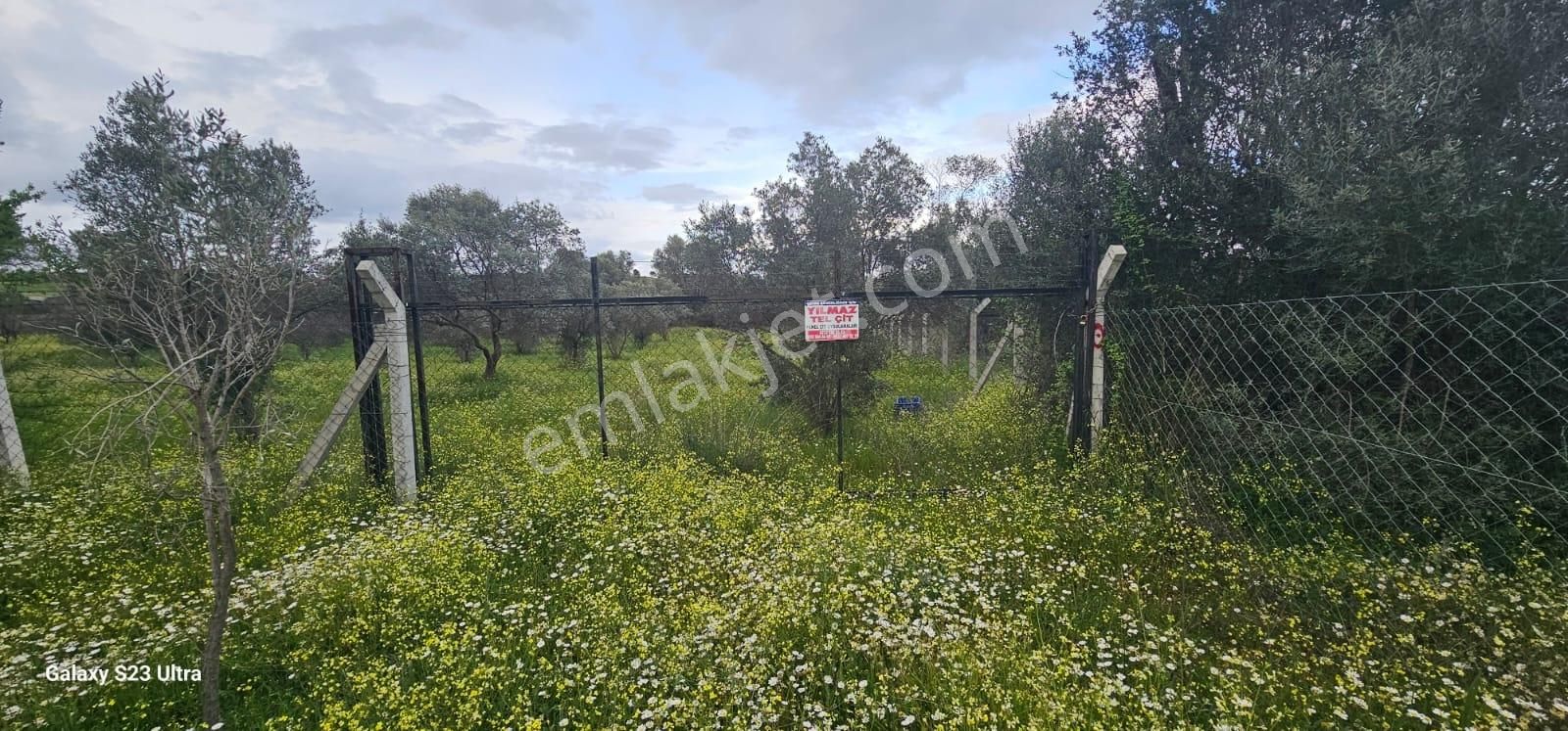 Emlak Durağı'ndan Dereköy'de 2835 M² Tarla