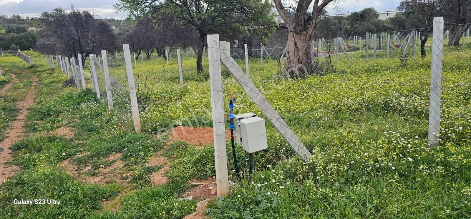 Emlak Durağı'ndan Dereköy'de 2835 M² Tarla - Görsel 7