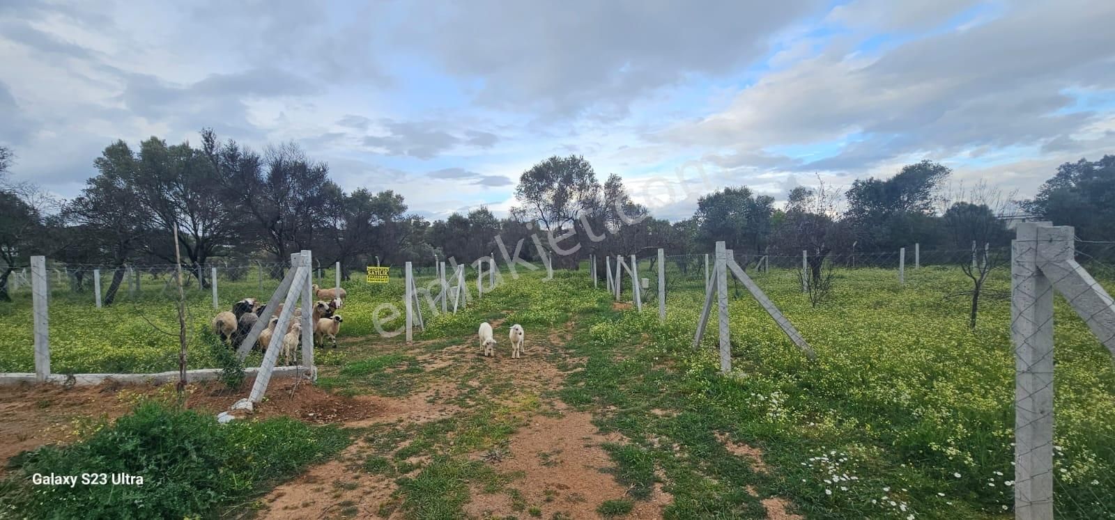 Emlak Durağı'ndan Dereköy'de 2835 M² Tarla - Görsel 19