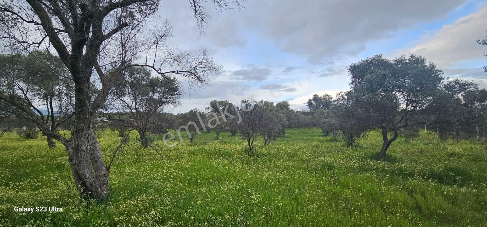 Emlak Durağı'ndan Dereköy'de 2835 M² Tarla - Görsel 21