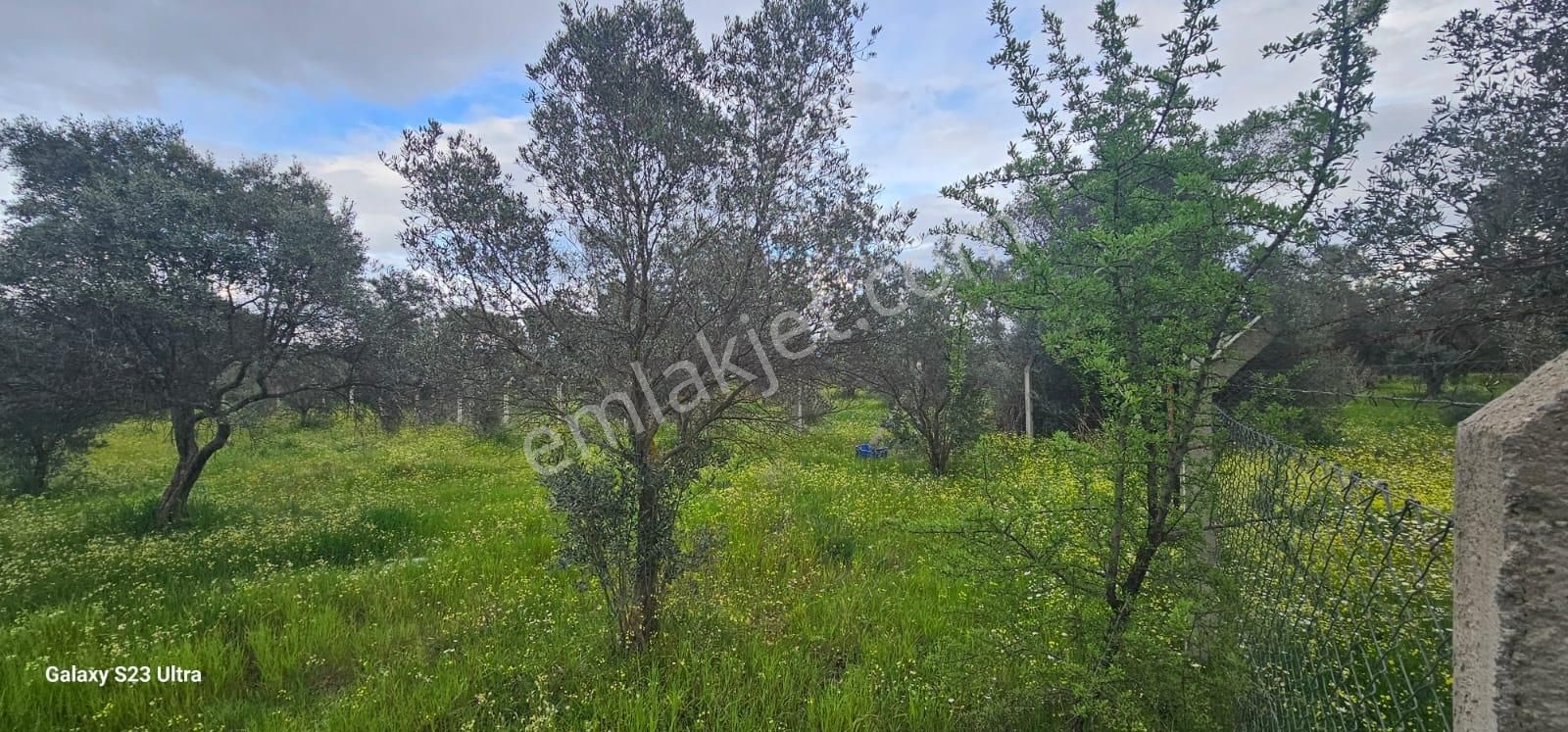 Emlak Durağı'ndan Dereköy'de 2835 M² Tarla - Görsel 11