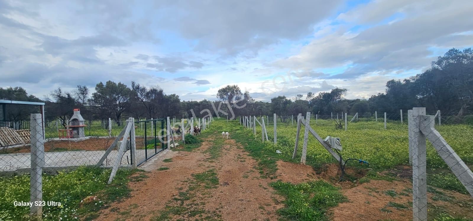 Emlak Durağı'ndan Dereköy'de 2835 M² Tarla - Görsel 3