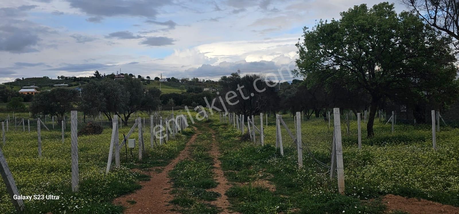 Emlak Durağı'ndan Dereköy'de 2835 M² Tarla - Görsel 14