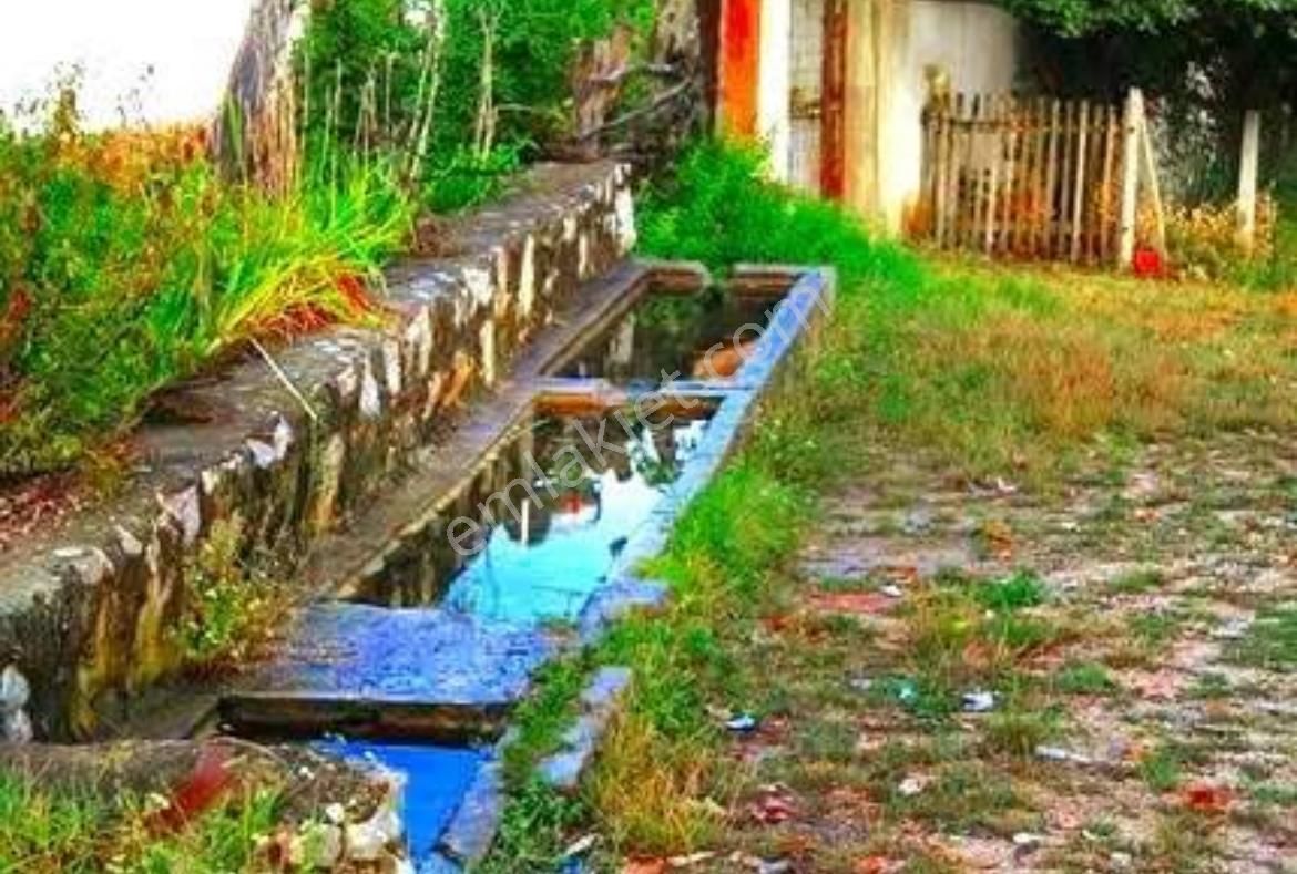 Bursa İnegöl Satılık Yatırımlık 9 Dönüm Fırsat Tarla - Görsel 4