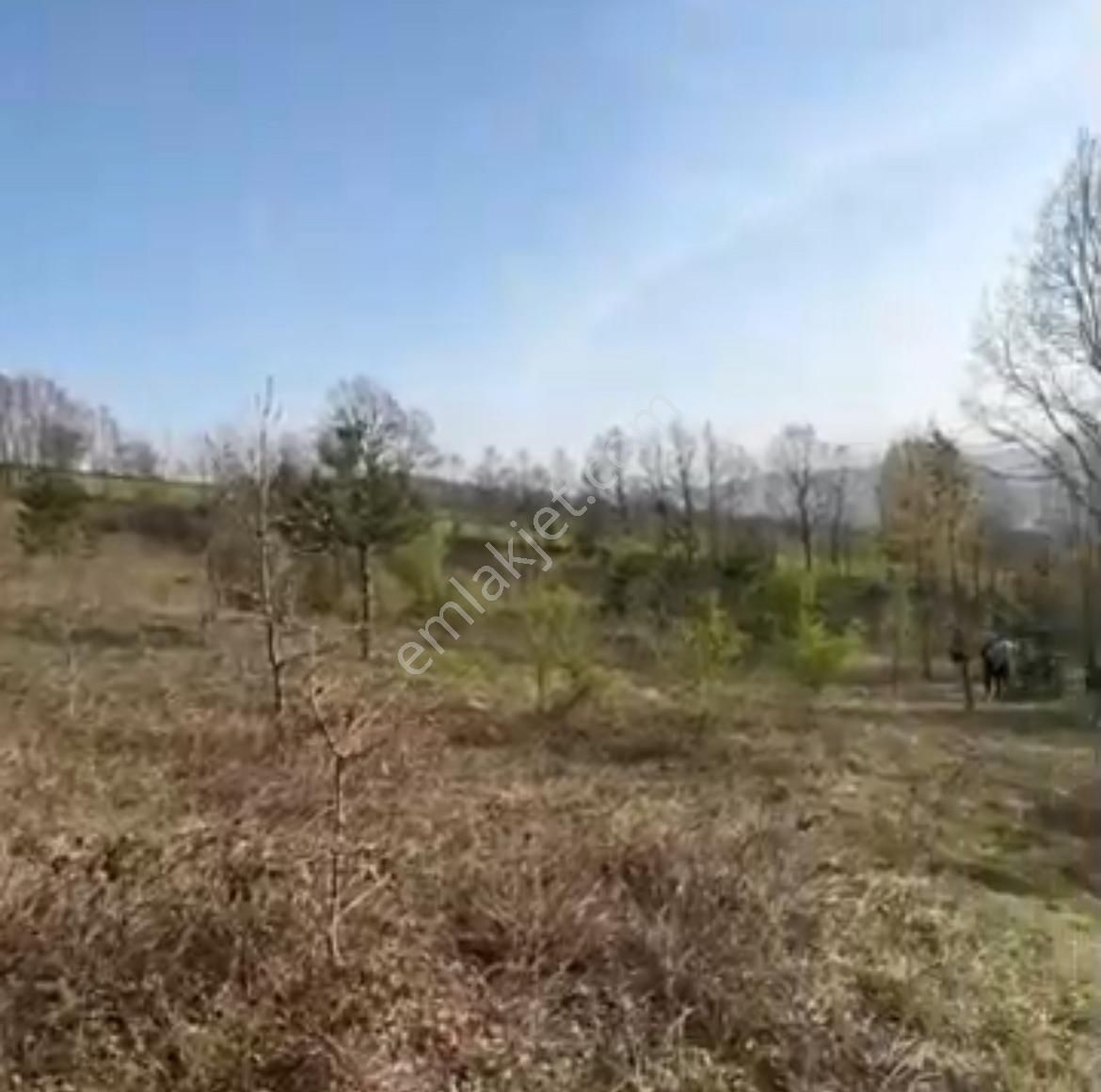 Bursa İnegöl Satılık Yatırımlık 9 Dönüm Fırsat Tarla - Görsel 5