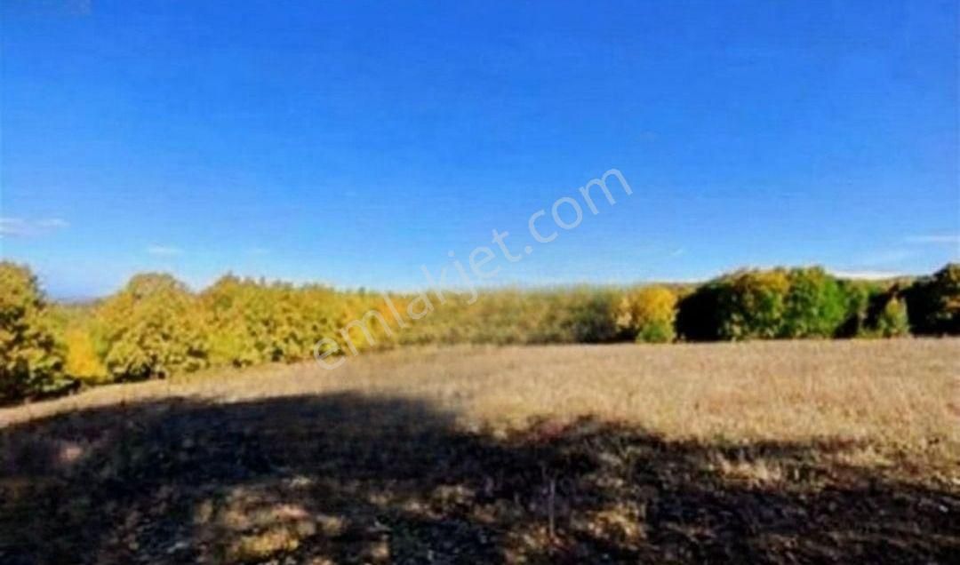 Bursa İnegöl Satılık Yatırımlık 9 Dönüm Fırsat Tarla - Görsel 13