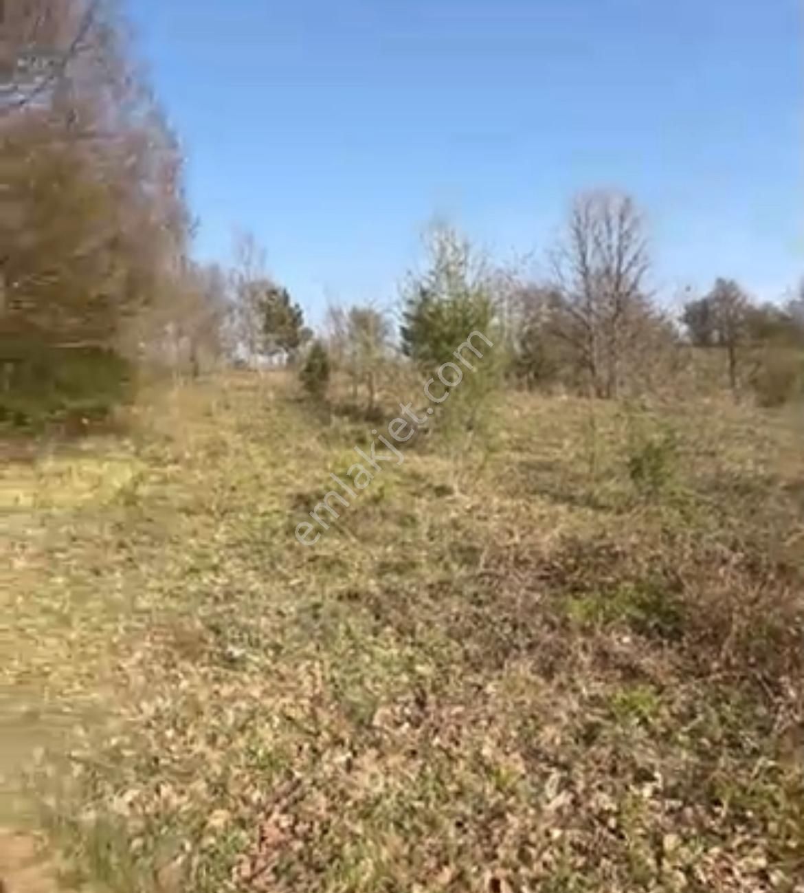 Bursa İnegöl Satılık Yatırımlık 9 Dönüm Fırsat Tarla - Görsel 2