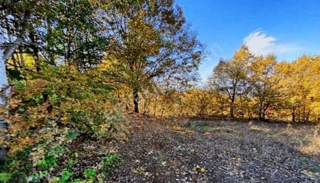 Bursa İnegöl Satılık Yatırımlık 9 Dönüm Fırsat Tarla