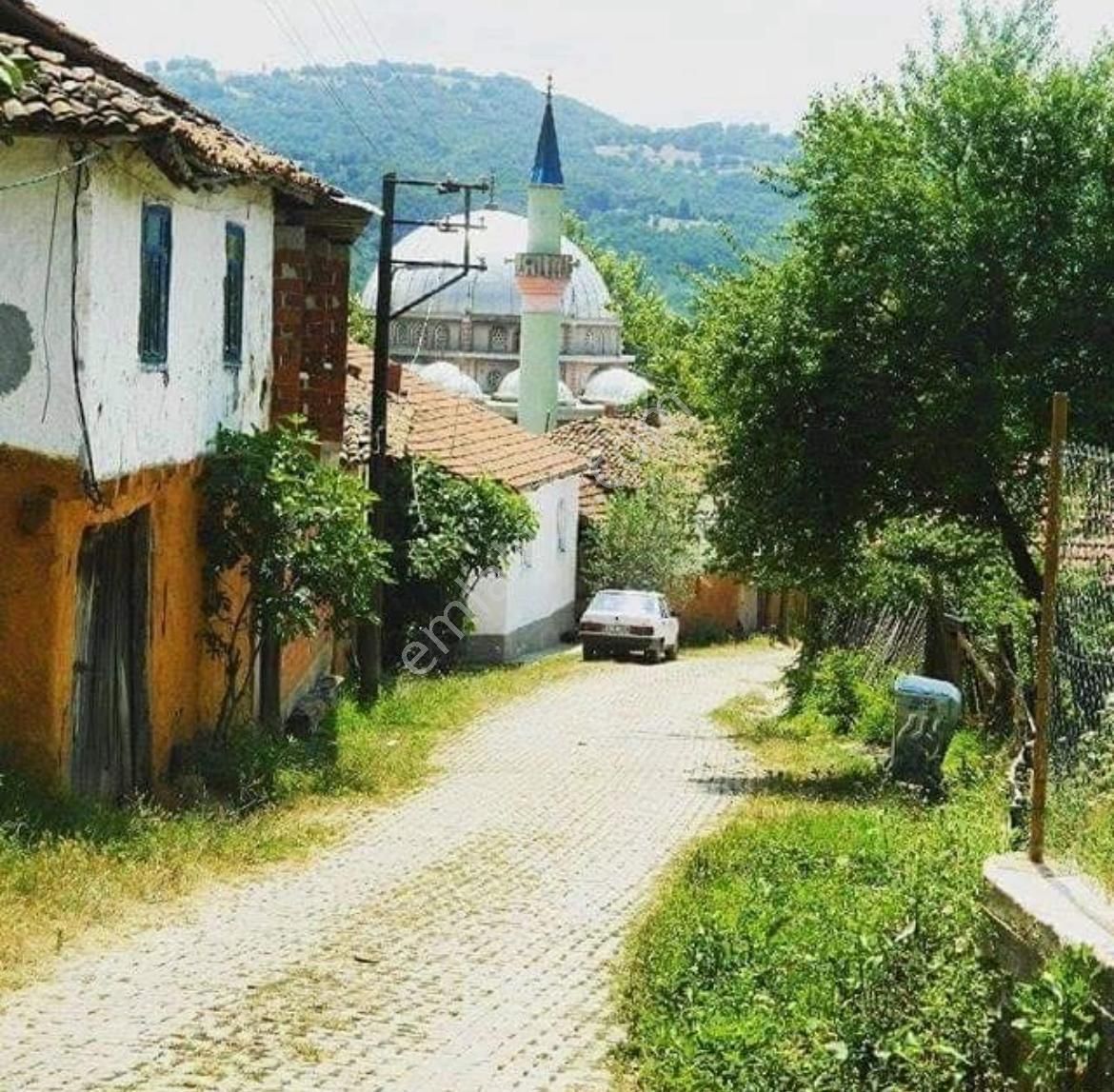 Bursa İnegöl Satılık Yatırımlık 9 Dönüm Fırsat Tarla - Görsel 3