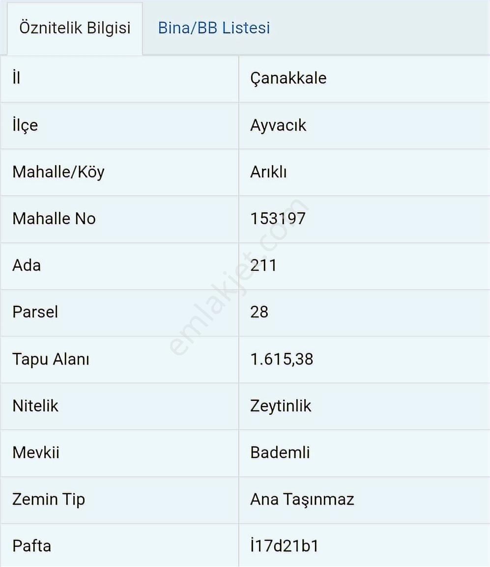 Ayvacık Arıklı Köyünde 1615 Metrekare Yolu Olan Verimli Zeytinli