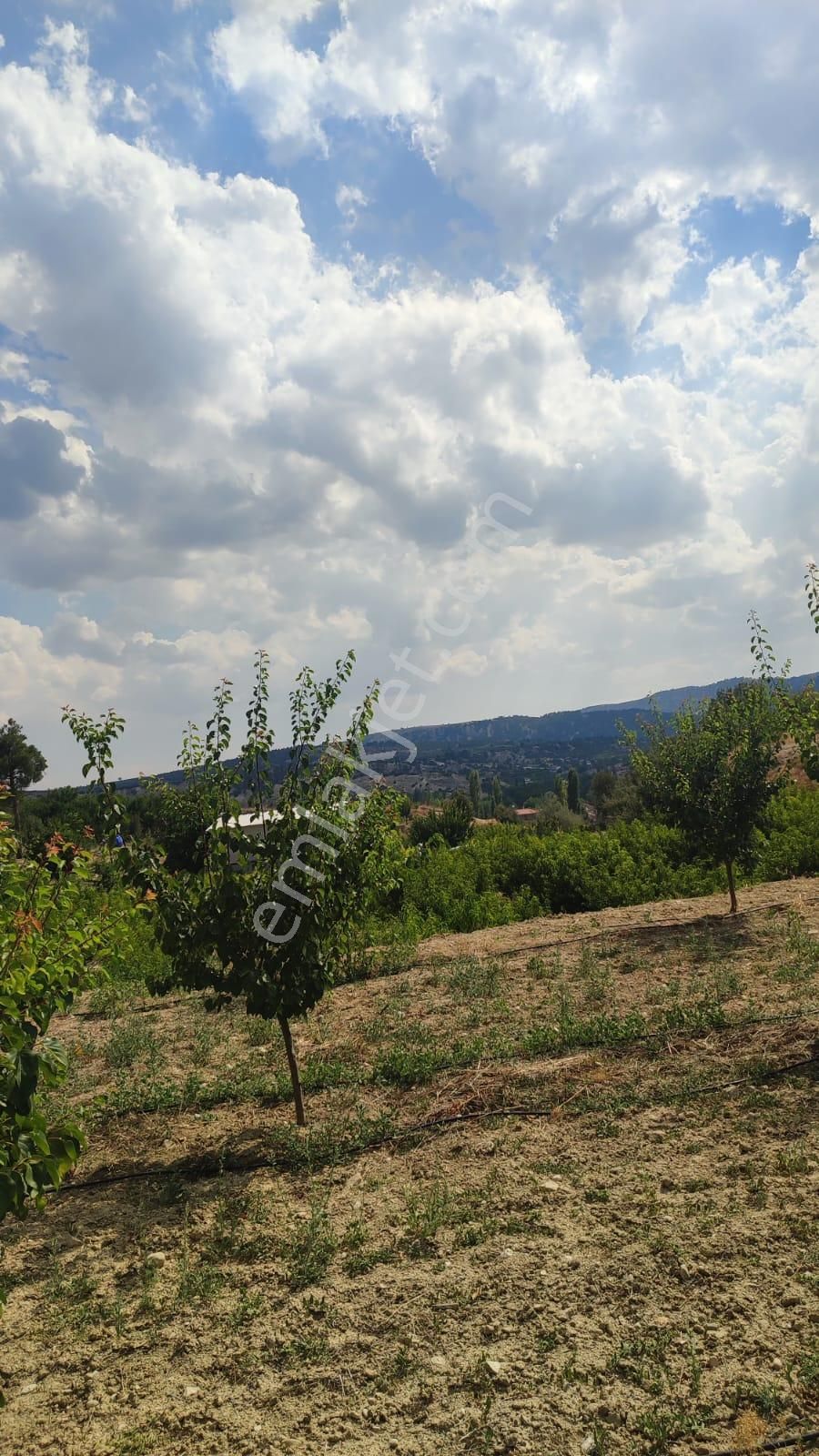 Korkuteli Dereköy'de 3300 M² Şeftalili Meyve Bahçesi - Damla Sulama + Ana Yola Çok Yakın! - Görsel 8