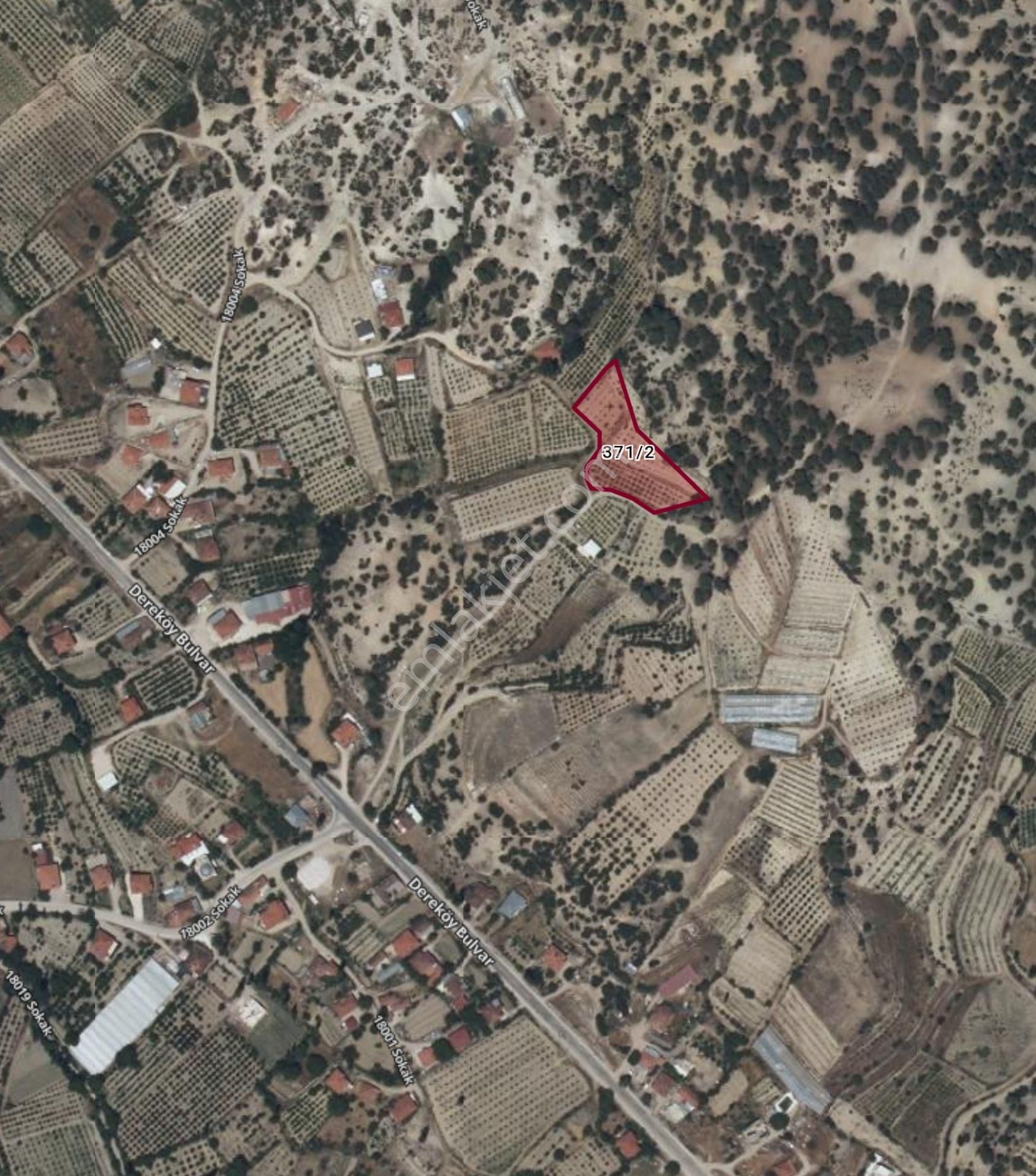 Korkuteli Dereköy'de 3300 M² Şeftalili Meyve Bahçesi - Damla Sulama + Ana Yola Çok Yakın!