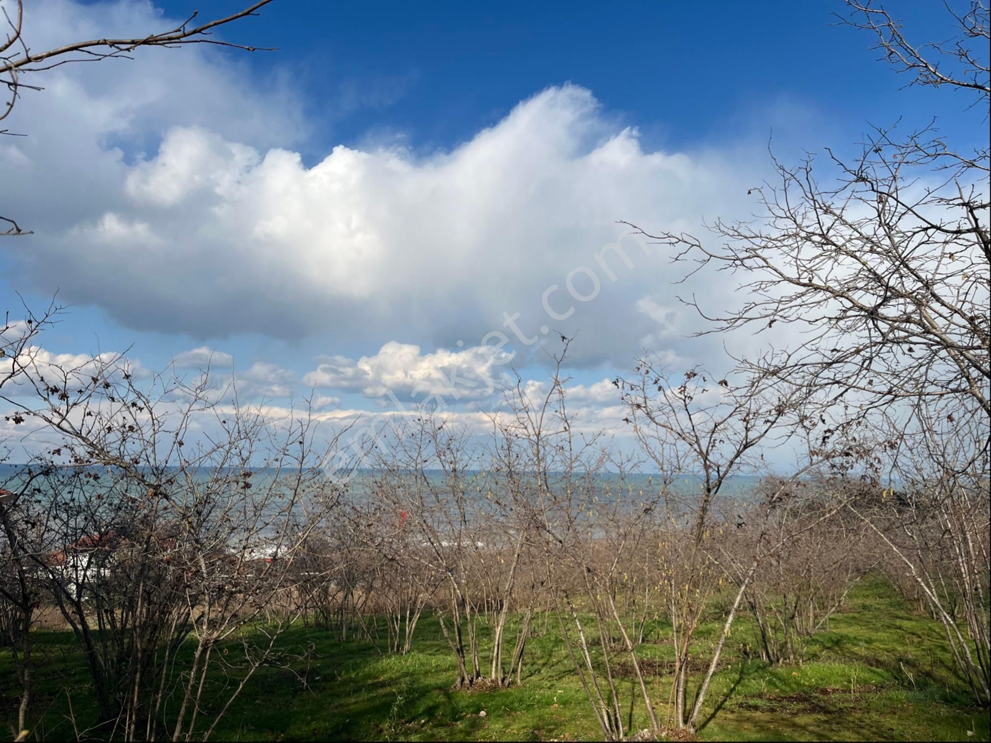 Full Deniz Manzaralı Villalık Atsa - Görsel 4