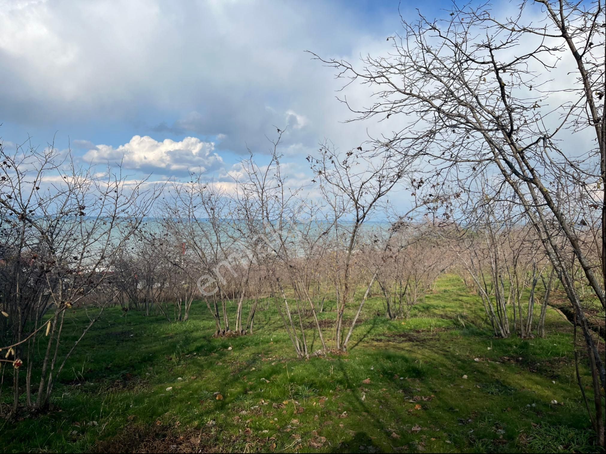 Full Deniz Manzaralı Villalık Atsa - Görsel 6