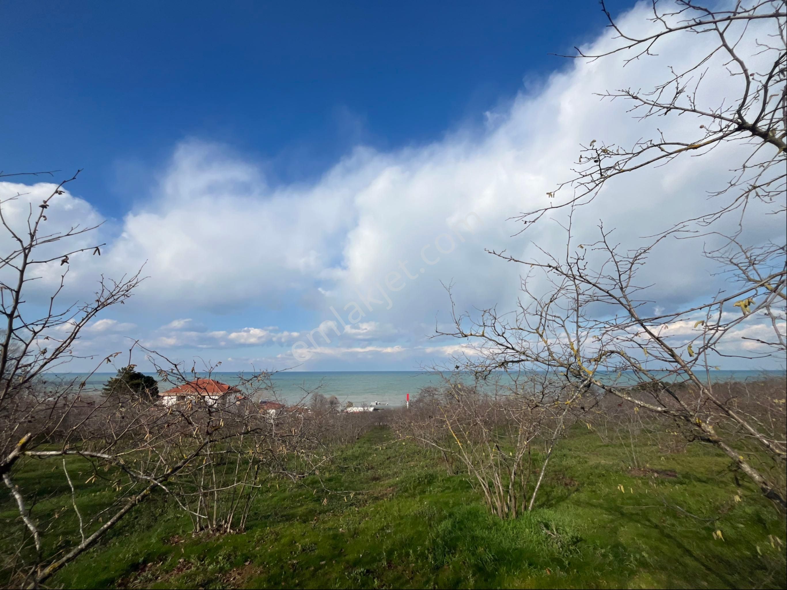 Full Deniz Manzaralı Villalık Atsa - Görsel 8