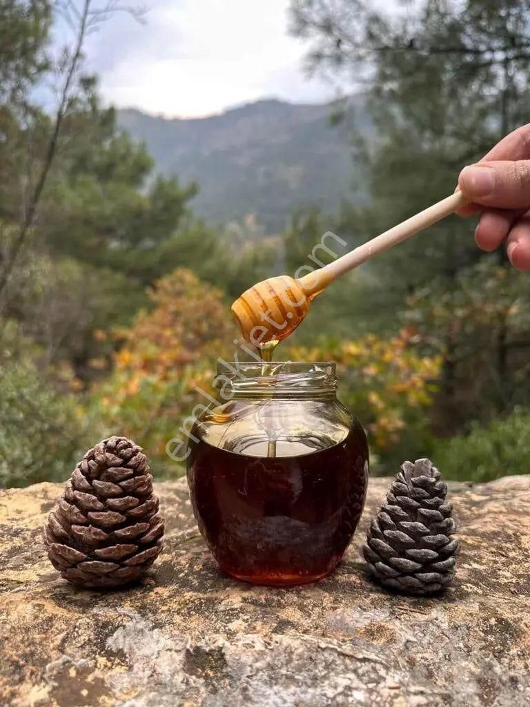 İzmir Bergama Yukarıada'da 1.425 M2 Çam Fıstığı Tarlası Uygun Fiyat. Açıklamayı Okuyunuz. - Görsel 7